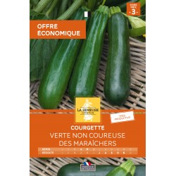 Graines Courgette Verte Non...