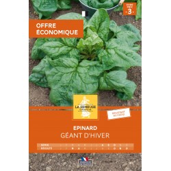 Graines Epinard Geant...
