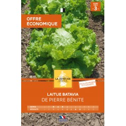 Graines Laitue Batavia De...