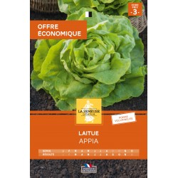 Graines Laitue Appia 3...