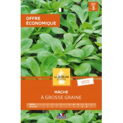 Graines Mache À Grosse...