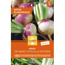 Graines Navet De Nancy À...