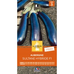 Graines Aubergine Sultane...