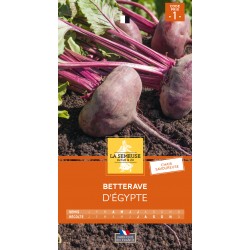 Graines Betterave D'Egypte...