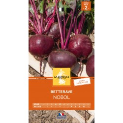 Graines Betterave Nobol -LA...