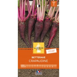 Graines Betterave...