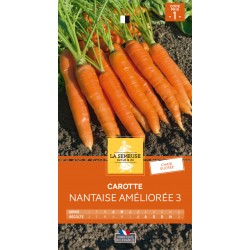 Graines Carotte Nantaise...