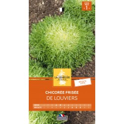 Graines Chicoree Frisée De...