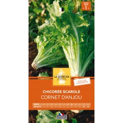 Graines Chicoree Scarole...