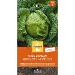 Graines Chou De Milan Gros...