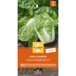 Graines Chou Chinois Yuki...