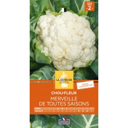 Graines Chou-Fleur...