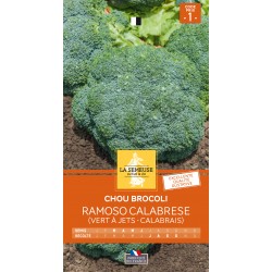 Graines Chou Brocoli...