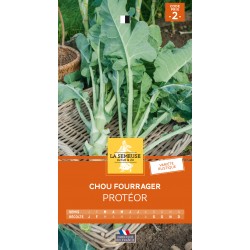 Graines Chou Fourrager...