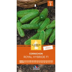 Graines Cornichon Royal F1...