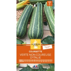 Graines Courgette Verte Non...
