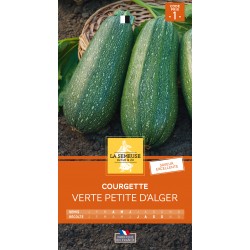 Graines Courgette Verte...