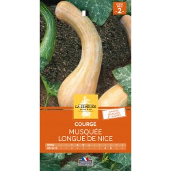 Graines Courge Musquée...