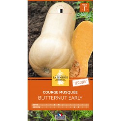 Graines Courge Butternut...