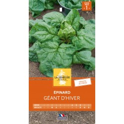 Graines Epinard Géant...