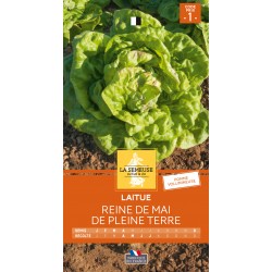 Graines Laitue Reine De Mai...