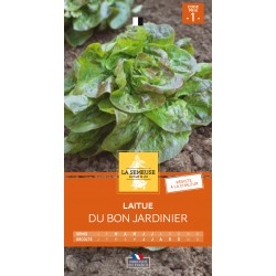 Graines Laitue Du Bon...