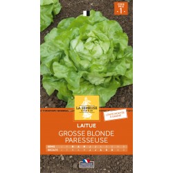 Graines Laitue Grosse...