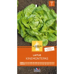 Graines Laitue Kinemontepas...