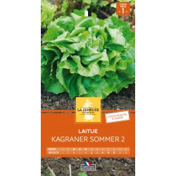 Graines Laitue Kagraner...