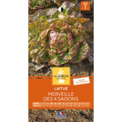 Graines Laitue Merveille...