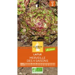 Graines Laitue Merveille...
