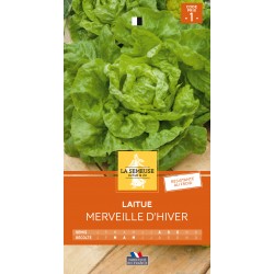 Graines Laitue Merveille...