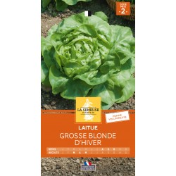 Graines Laitue Grosse...