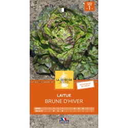 Graines Laitue Brune...