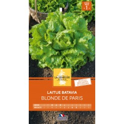 Graines Laitue Batavia...