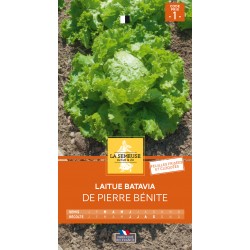 Graines Laitue Batavia De...