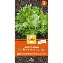 Graines Laitue Batavia...