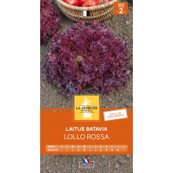 Graines Laitue Batavia...