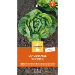 Graines Laitue Sucrine -LA...