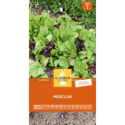 Graines Mesclun 1 -LA SEMEUSE
