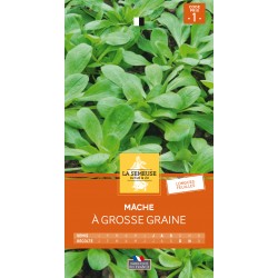 Graines Mache À Grosse...