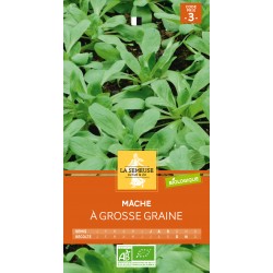 Graines Mache À Grosse...