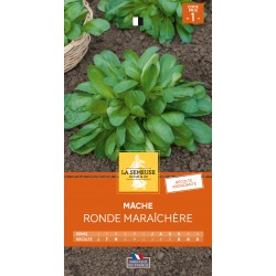 Graines Mache Ronde...