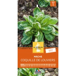 Graines Mache Coquille De...