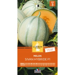 Graines Melon Sivan F1 -LA...