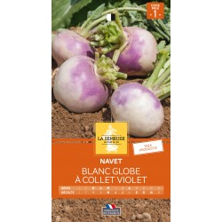 Graines Navet Blanc Globe À...