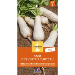 Graines Navet Des Vertus...