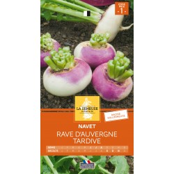 Graines Navet Rave...