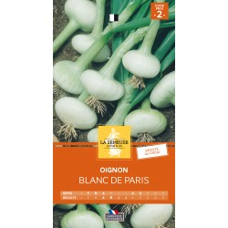 Graines Oignon Blanc De...