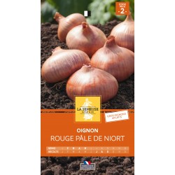 Graines Oignon Rouge Pâle...